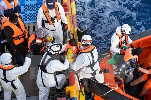 1,400 migrants rescued at Mediterranean sea - ảnh 1